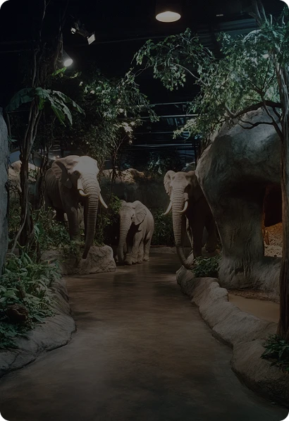 They say elephants never forget. But what happens when one remembers something about you that you haven’t told anyone? 